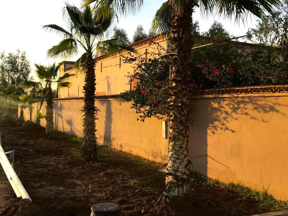 Palais Souad Villa Marrakesh Bagian luar foto